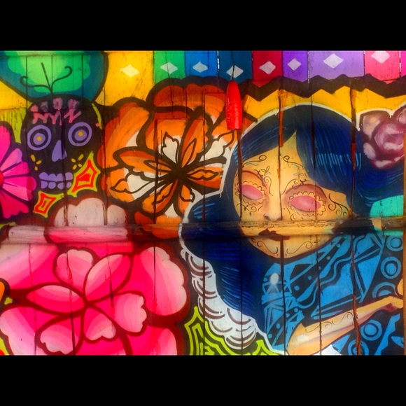 Meet your Posher, Callie! - Picture 2 of 2